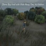 Storm Boy 1.1.0 Apk + Data for android Free Download