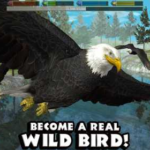 Ultimate Bird Simulator 1.3 Apk + Mod android Free Download