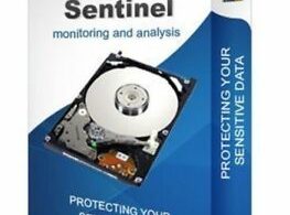 Hard Disk Sentinel Pro 5.50 Build 10482 + Portable