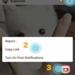 Video Downloader – for Instagram Repost App 1.1.71 Apk + Mod android Free Download