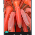 Photo Studio PRO v2.2.2.5 [Patched] APK Free Download Free Download