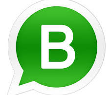 WhatsApp Business pro mod apk multible accounts no ban free download