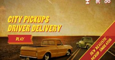 City Pickups Driver Delivery